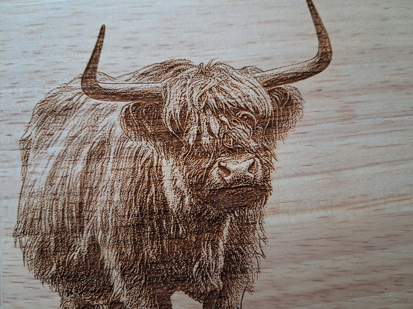 The Gentle Highland Cow- Small Chopping Board (30x20x1.7cm) - Close-up 