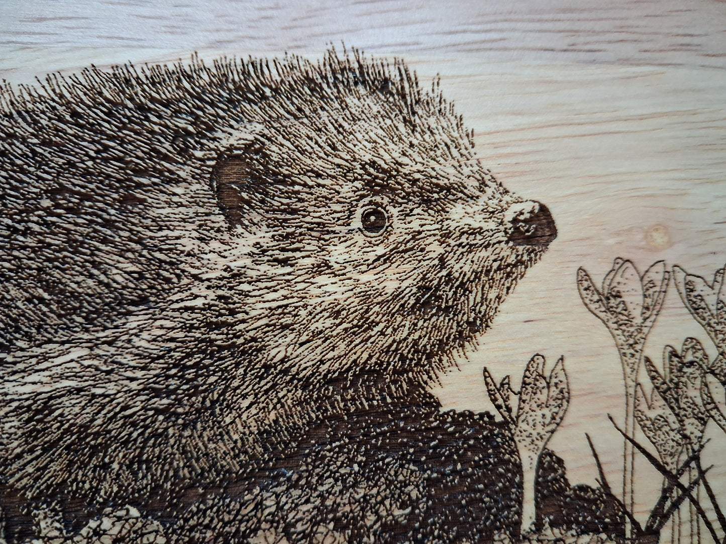 The Wandering Hedgehog - Medium Wooden Chopping Board (34x24x2cm) - Close-up 