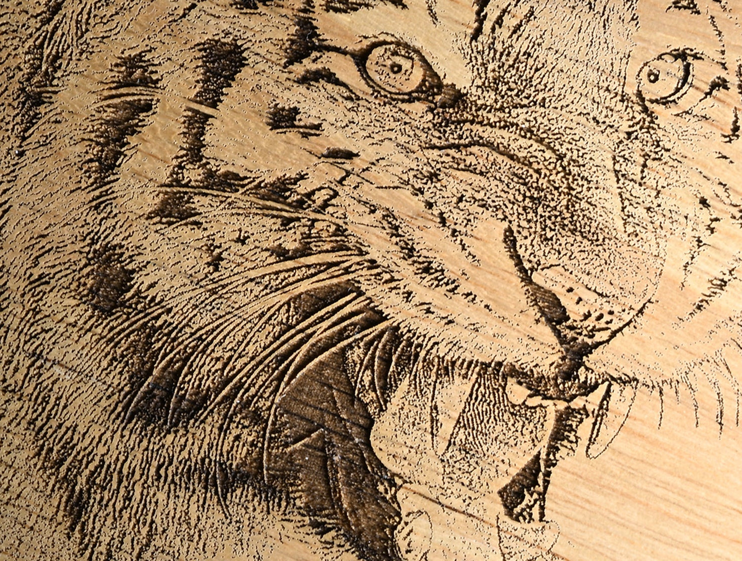 Tiger Design Cheese Set with Tools Close-up Image 