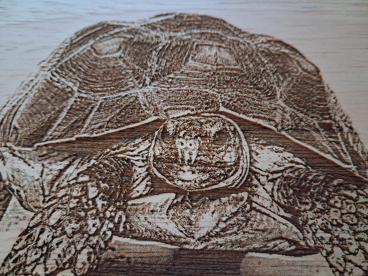 Tortoise Design Cheese Board Set with Tools Close-up 