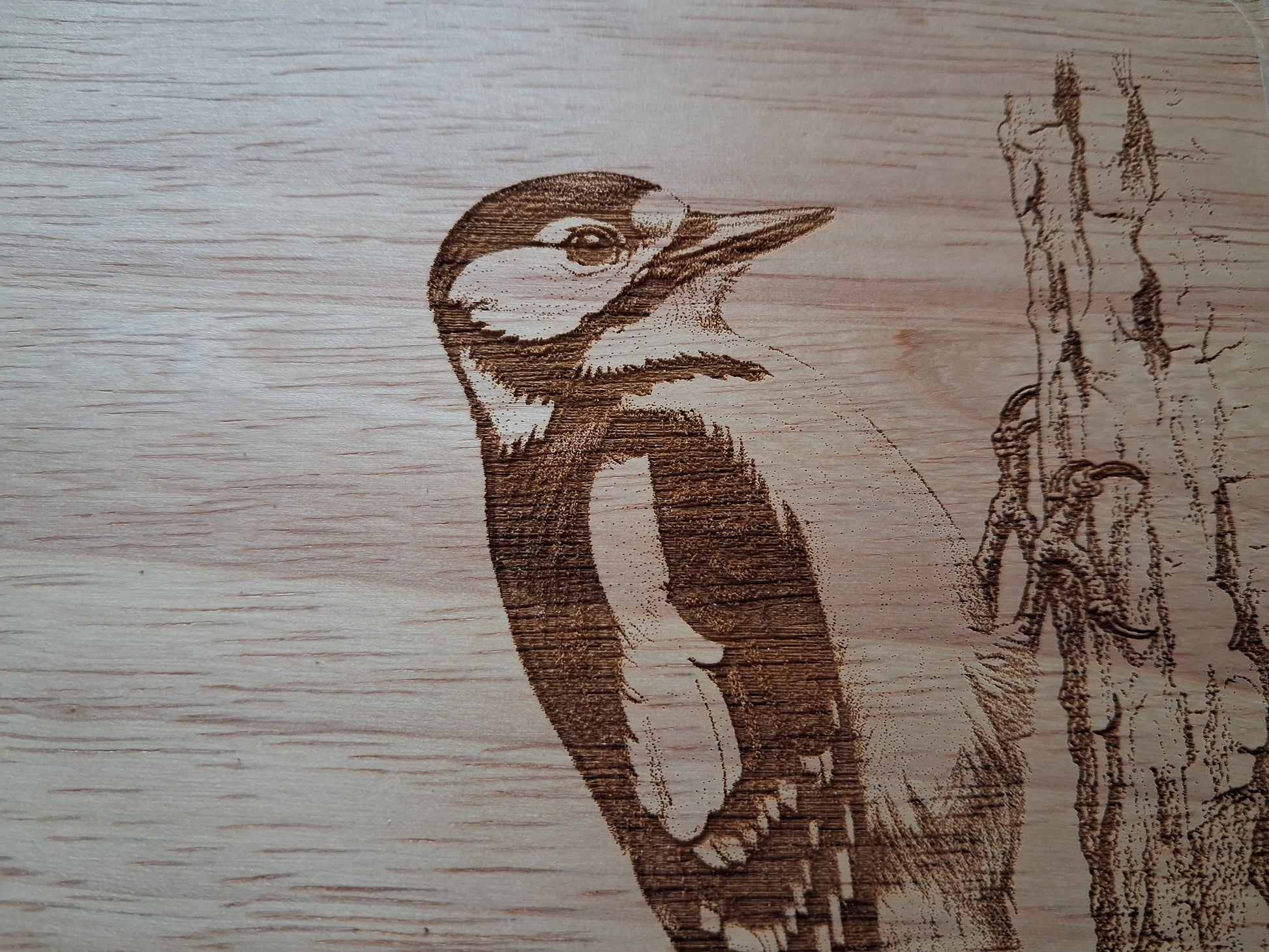 Woodpecker - Small Chopping Board (30x20x1.7cm) - Close-up 