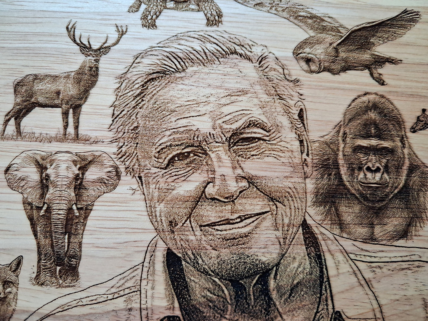 David Attenborough 100th Birthday Small Chopping Board (30x20x1.7cm)