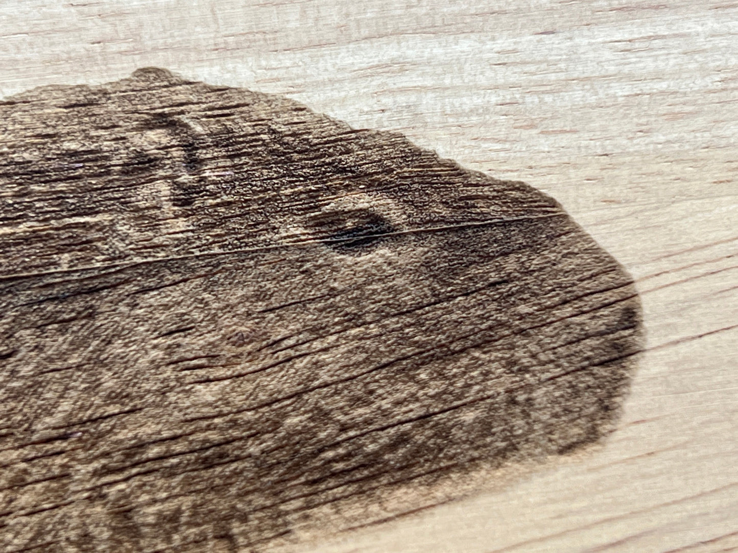 Capybara design small chopping board image close-up 