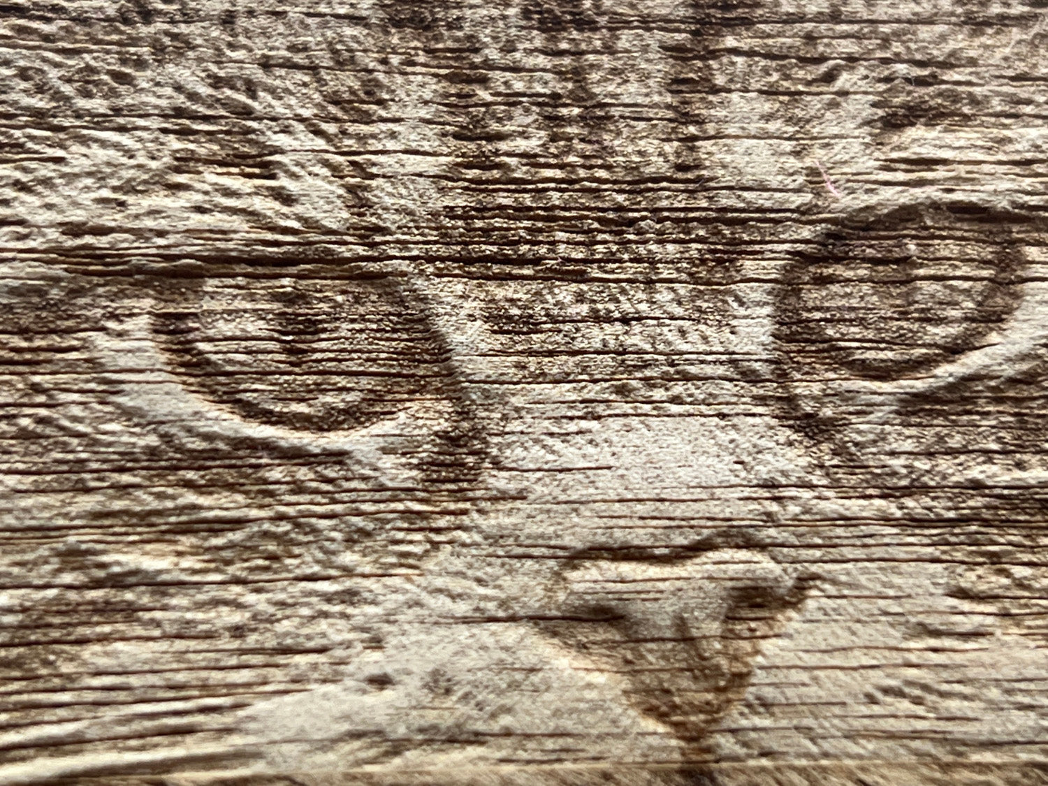 Scottish Wildcat Design Small Chopping Board close-up image 