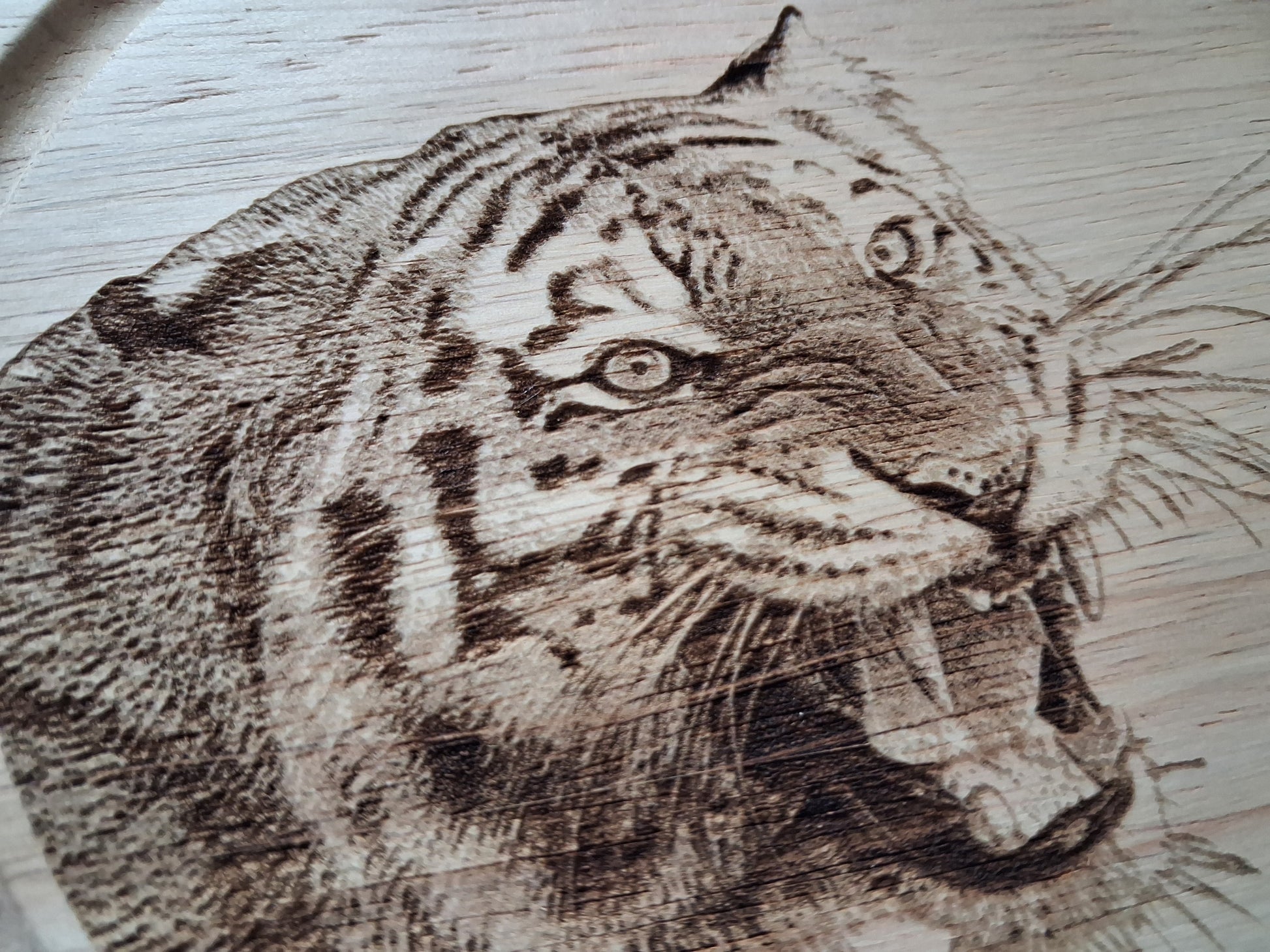 Tiger design cheese set with tools photo close-up